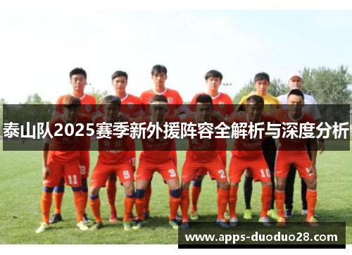 泰山队2025赛季新外援阵容全解析与深度分析