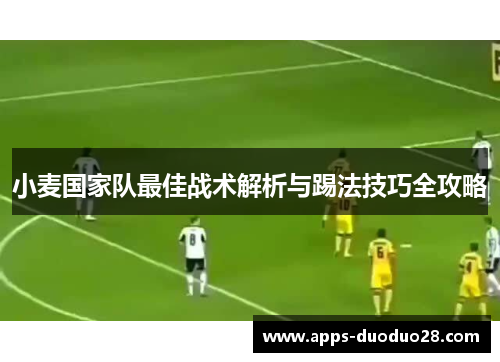 小麦国家队最佳战术解析与踢法技巧全攻略