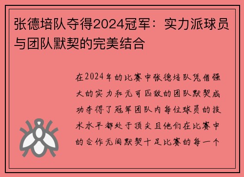 张德培队夺得2024冠军：实力派球员与团队默契的完美结合