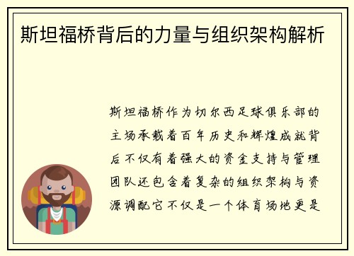 斯坦福桥背后的力量与组织架构解析