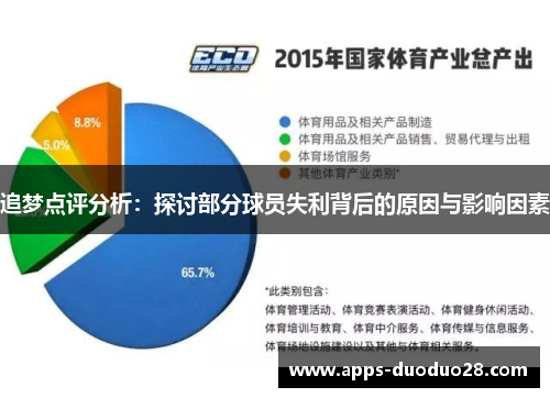 追梦点评分析：探讨部分球员失利背后的原因与影响因素
